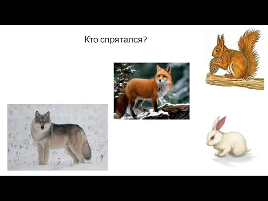 Кто спрятался?