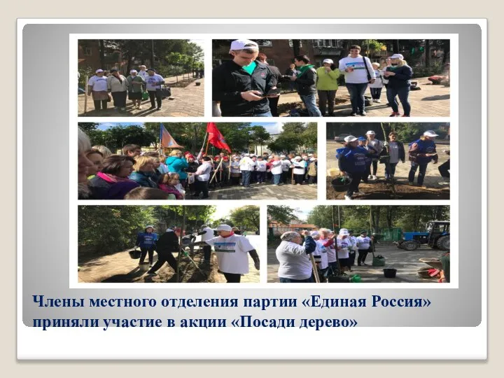 Члены местного отделения партии «Единая Россия» приняли участие в акции «Посади дерево»