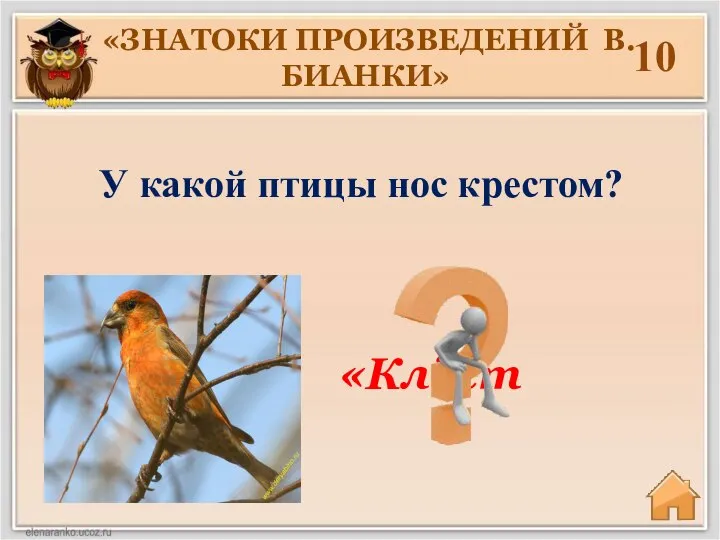 «ЗНАТОКИ ПРОИЗВЕДЕНИЙ В. БИАНКИ» 10 «Клёст У какой птицы нос крестом?