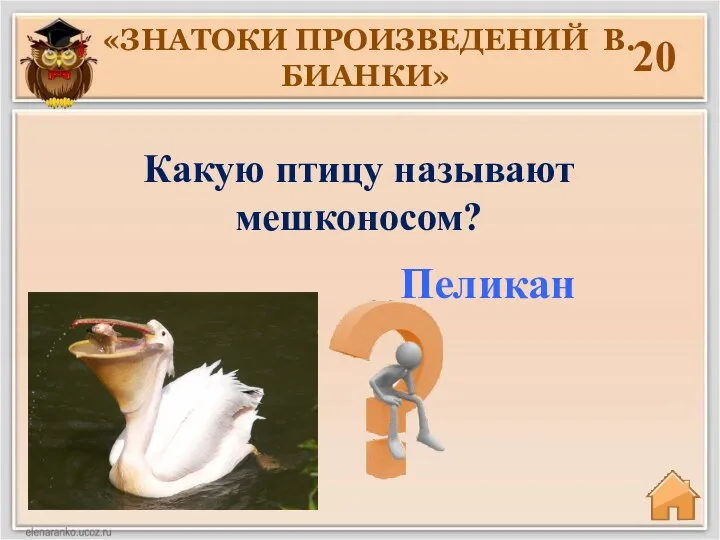 20 Какую птицу называют мешконосом? Пеликан «ЗНАТОКИ ПРОИЗВЕДЕНИЙ В. БИАНКИ»