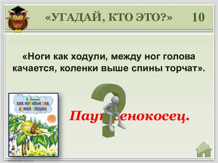 «УГАДАЙ, КТО ЭТО?» 10 «Ноги как ходули, между ног голова качается, коленки выше спины торчат». Паук-сенокосец.