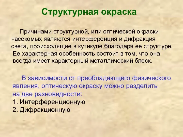 Структурная окраска Причинами структурной, или оптической окраски насекомых являются интерференция и