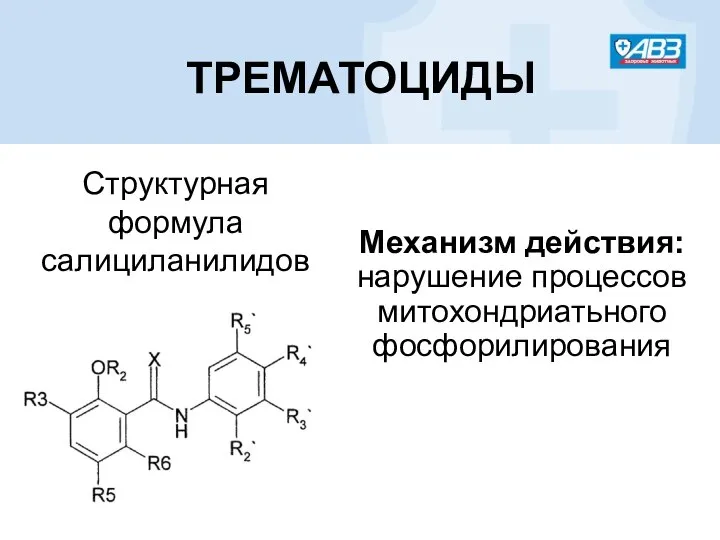 ТРЕМАТОЦИДЫ Структурная формула салициланилидов Механизм действия: нарушение процессов митохондриатьного фосфорилирования