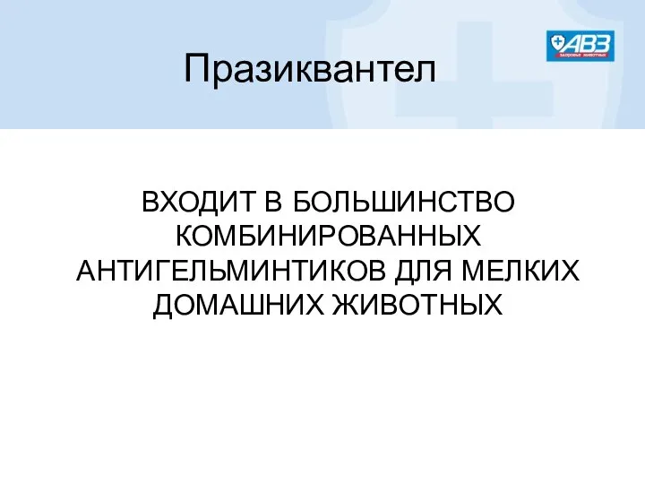 ВХОДИТ В БОЛЬШИНСТВО КОМБИНИРОВАННЫХ АНТИГЕЛЬМИНТИКОВ ДЛЯ МЕЛКИХ ДОМАШНИХ ЖИВОТНЫХ Празиквантел