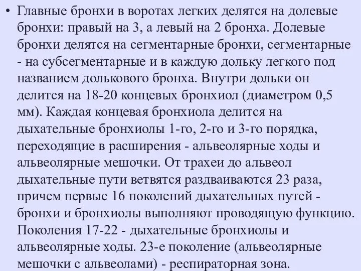 Главные бронхи в воротах легких делятся на долевые бронхи: правый на