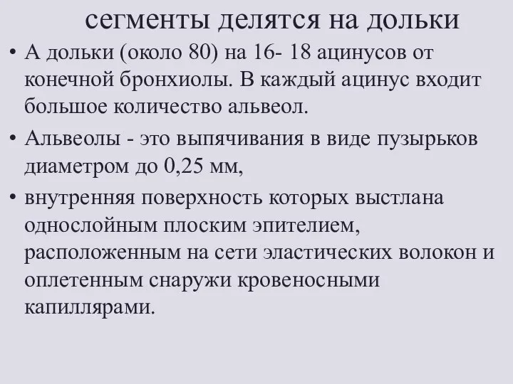 сегменты делятся на дольки А дольки (около 80) на 16- 18