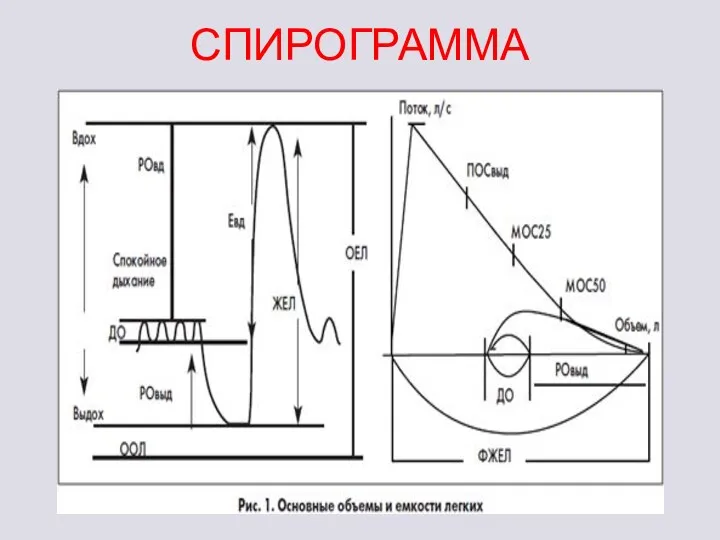 СПИРОГРАММА