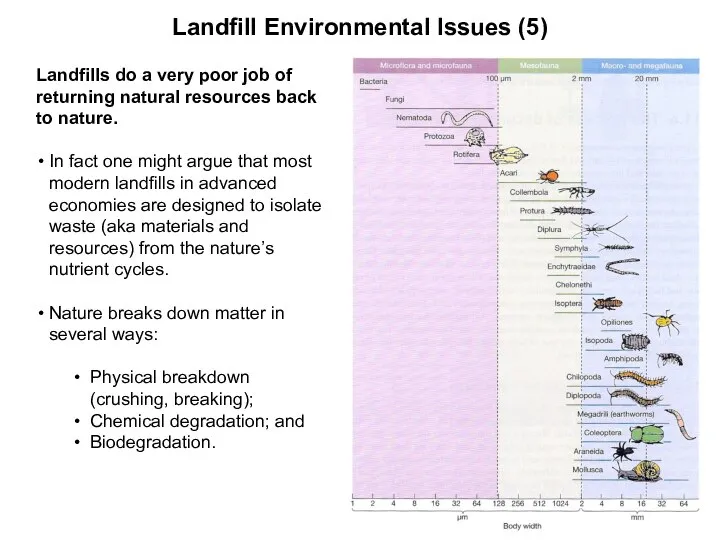 Landfill Environmental Issues (5) Landfills do a very poor job of