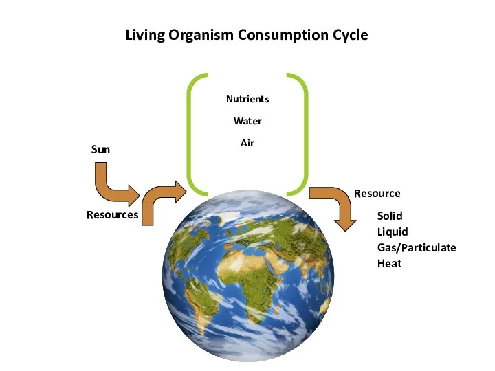 Nutrients Water Resources Resource Living Organism Consumption Cycle Sun Solid Liquid Gas/Particulate Heat Air