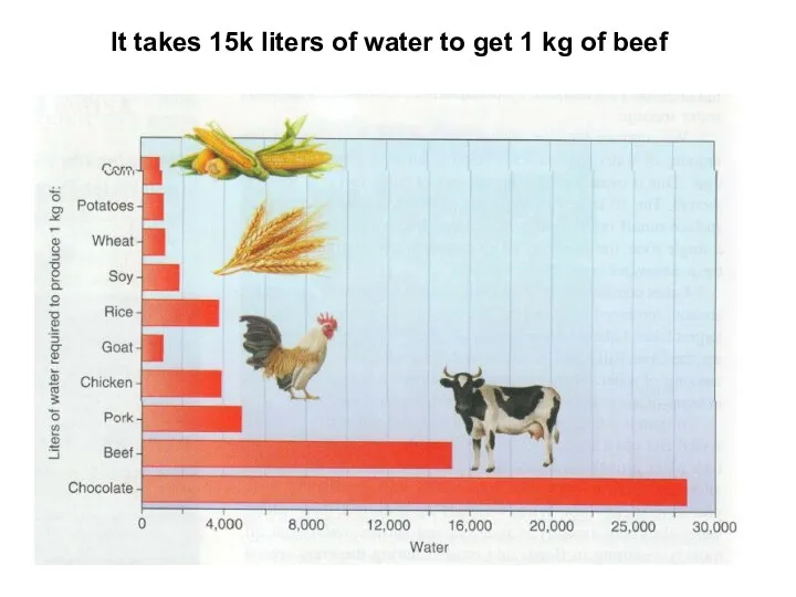 It takes 15k liters of water to get 1 kg of beef