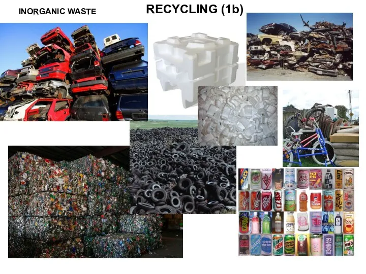 RECYCLING (1b) INORGANIC WASTE