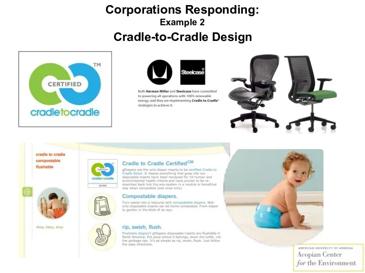 Corporations Responding: Example 2 Cradle-to-Cradle Design