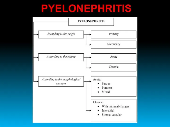 PYELONEPHRITIS