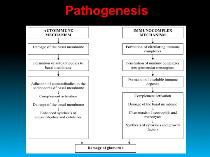 Pathogenesis