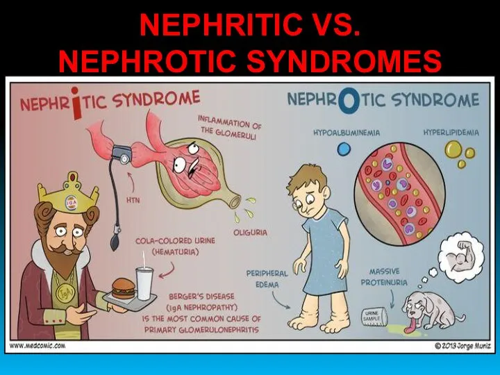 NEPHRITIC VS. NEPHROTIC SYNDROMES