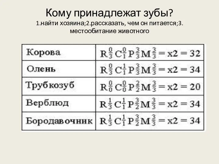 Кому принадлежат зубы? 1.найти хозяина;2.рассказать, чем он питается;3. местообитание животного