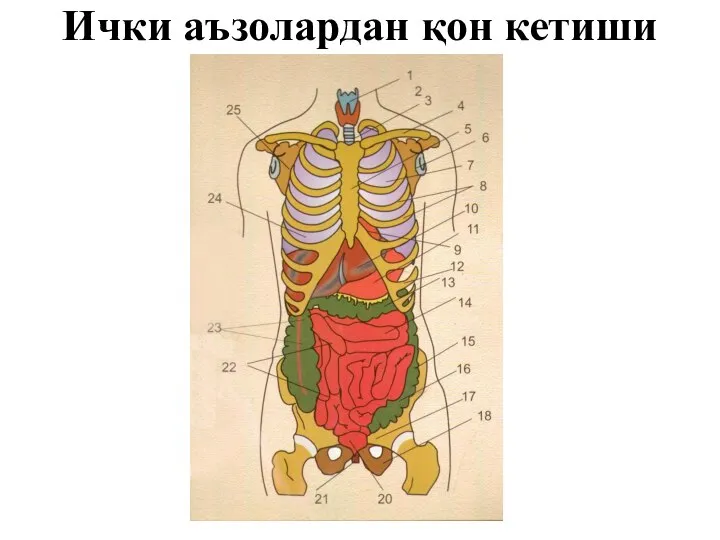 Ички аъзолардан қон кетиши