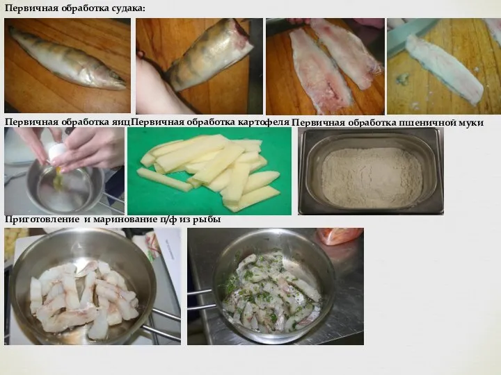 Первичная обработка судака: Первичная обработка яиц Первичная обработка картофеля Первичная обработка