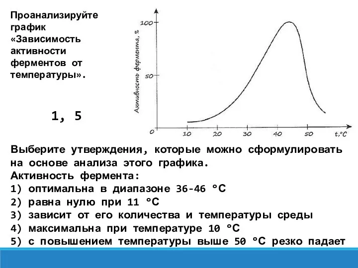Проанализируйте график «Зависимость активности ферментов от температуры». Выберите утверждения, которые можно