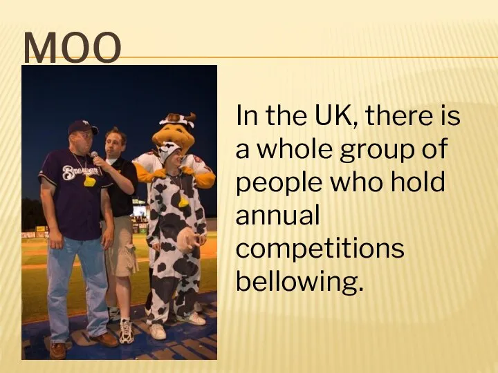 MOO In the UK, there is a whole group of people who hold annual competitions bellowing.