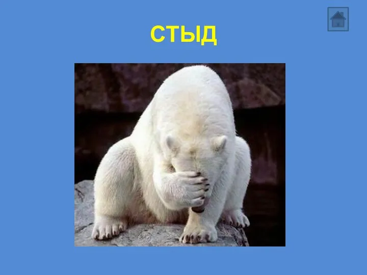 СТЫД