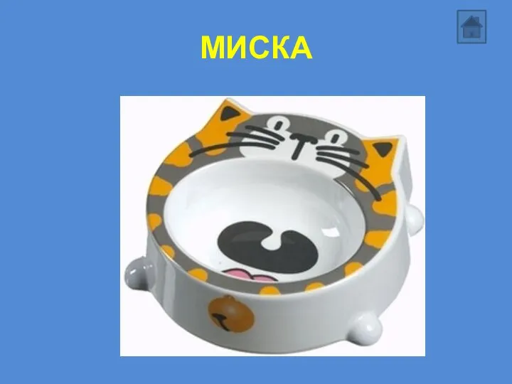 МИСКА