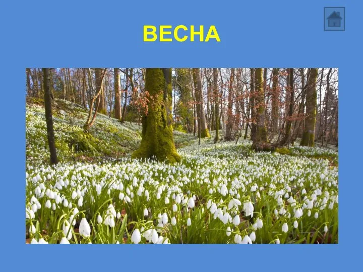 ВЕСНА