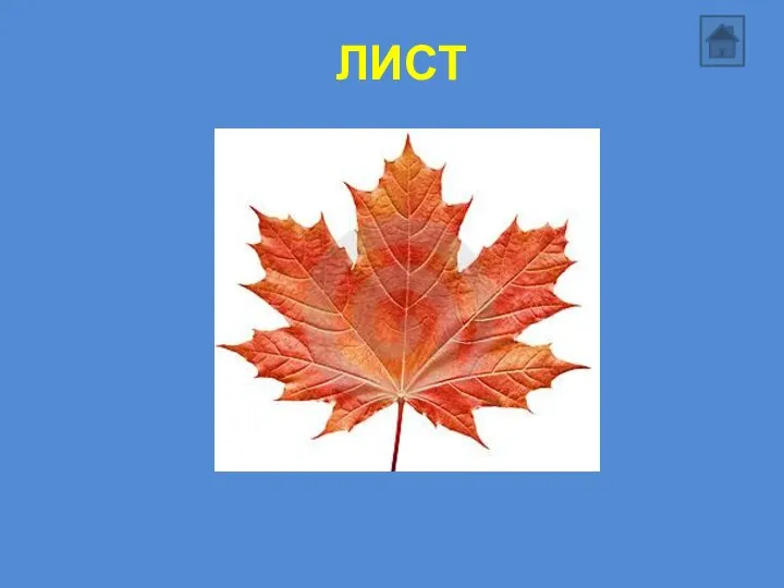 ЛИСТ