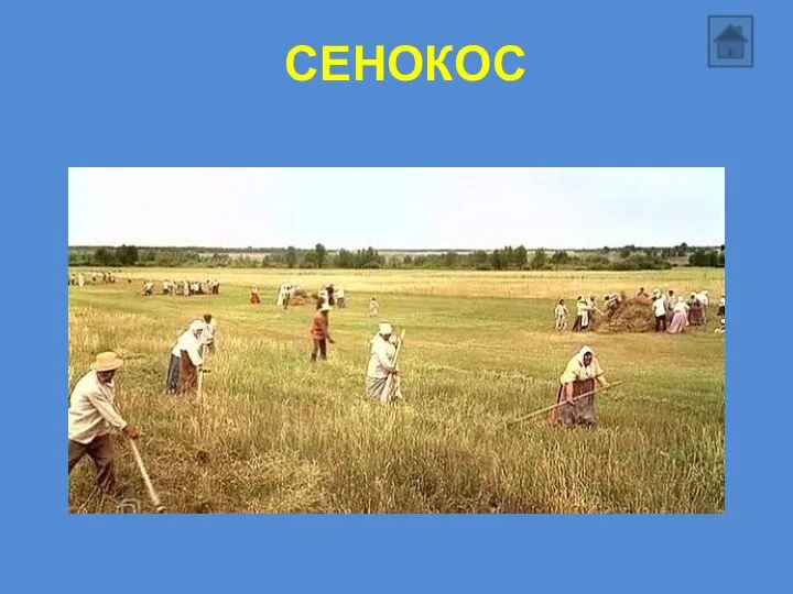 СЕНОКОС