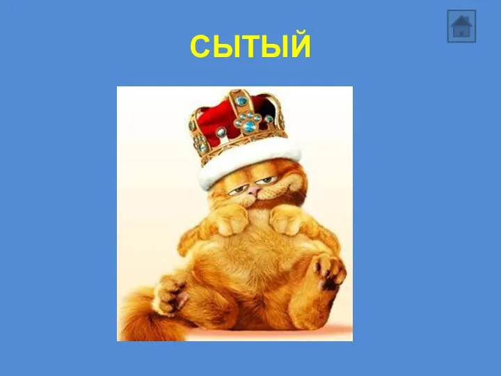 СЫТЫЙ