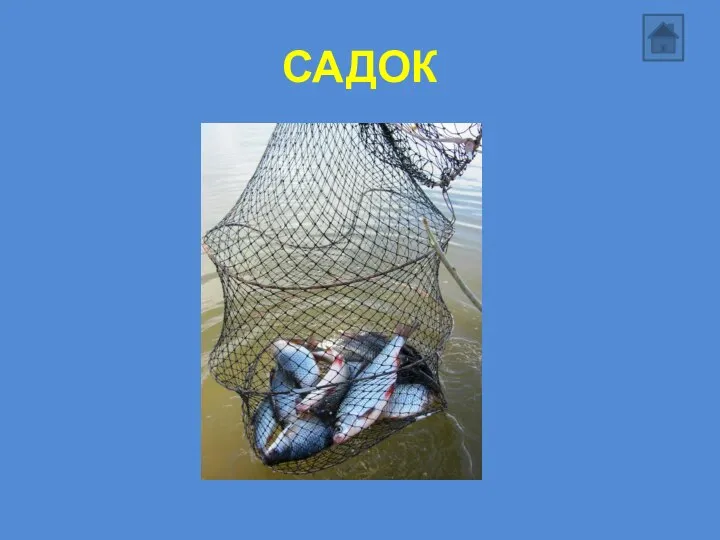 САДОК