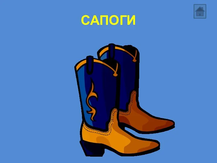 САПОГИ