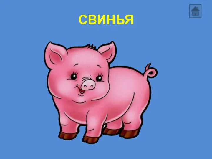 СВИНЬЯ