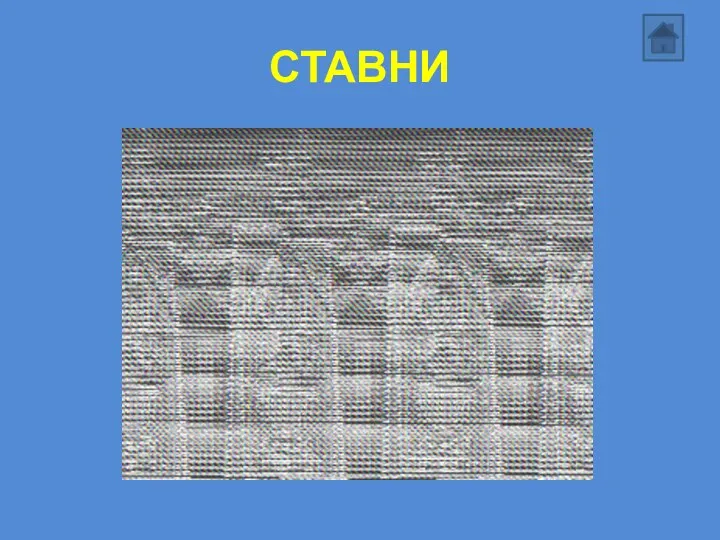 СТАВНИ