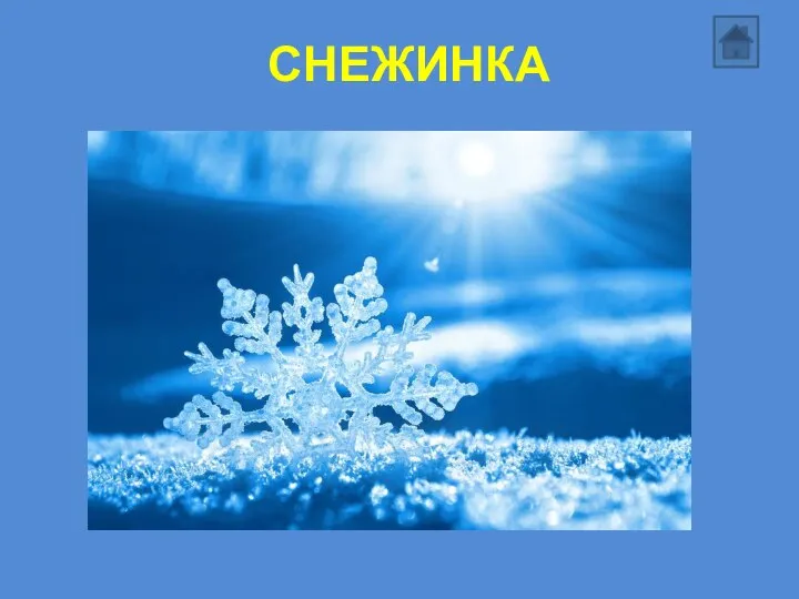 СНЕЖИНКА