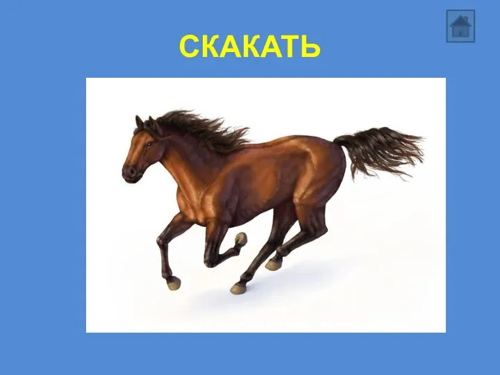 СКАКАТЬ