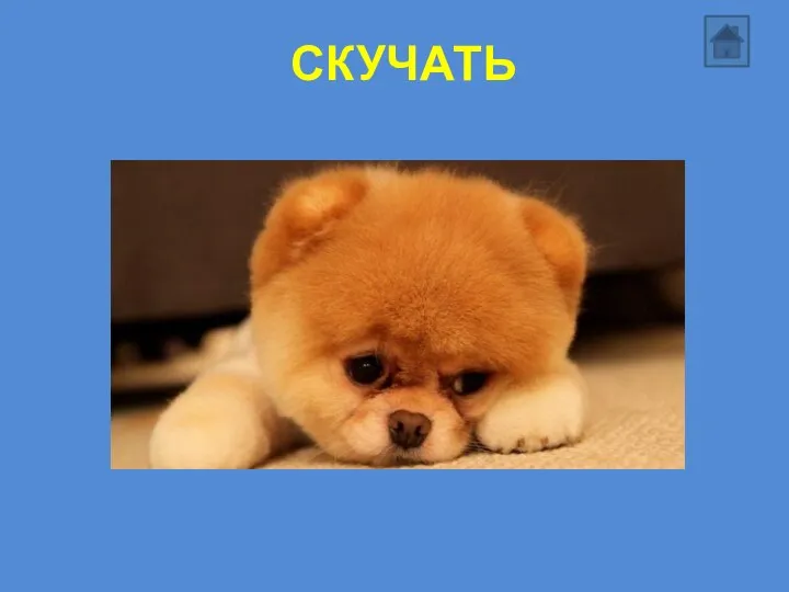 СКУЧАТЬ