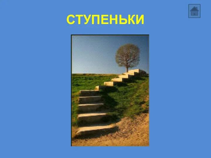 СТУПЕНЬКИ