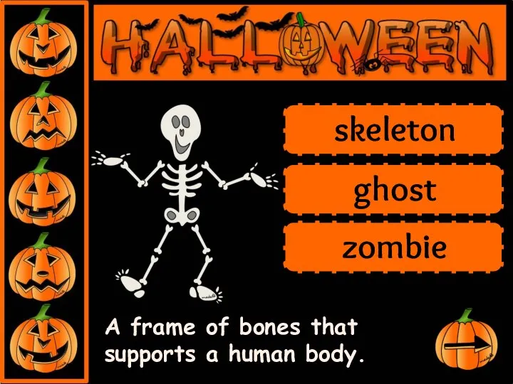 A frame of bones that supports a human body. skeleton ghost zombie