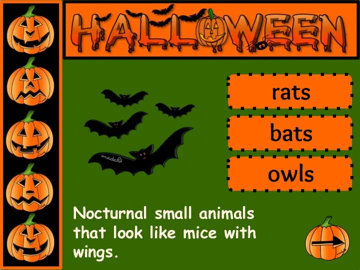 Nocturnal small animals that look like mice with wings. rats bats owls