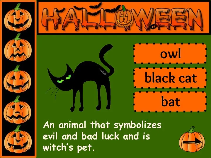 An animal that symbolizes evil and bad luck and is witch’s pet. owl black cat bat