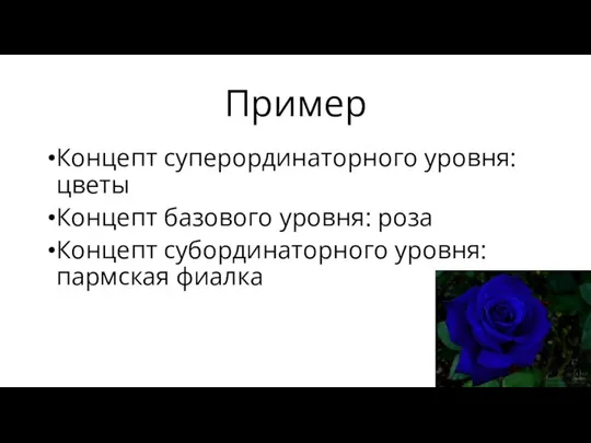 Пример Концепт суперординаторного уровня: цветы Концепт базового уровня: роза Концепт субординаторного уровня: пармская фиалка