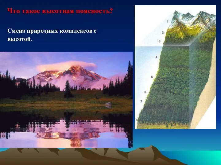 Что такое высотная поясность? Смена природных комплексов с высотой.