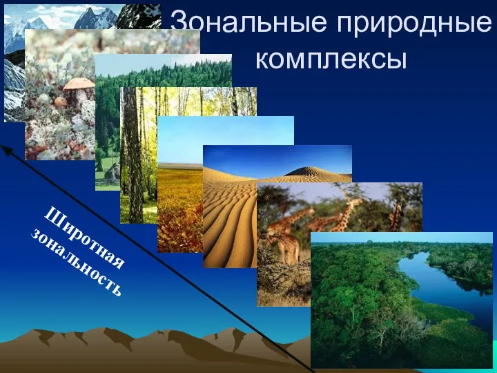 Зональные природные комплексы Арктические пустыни тундра тайга Смешанные и широ- колиственные