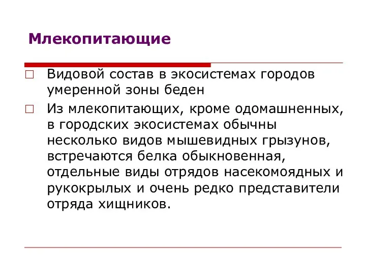 Млекопитающие Видовой состав в экосистемах городов умеренной зоны беден Из млекопитающих,