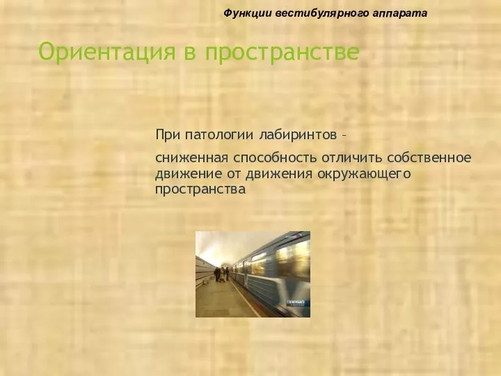 Ориентация в пространстве При патологии лабиринтов – сниженная способность отличить собственное