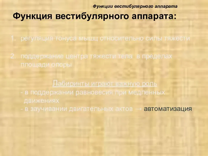 Функция вестибулярного аппарата: регуляция тонуса мышц относительно силы тяжести поддержание центра