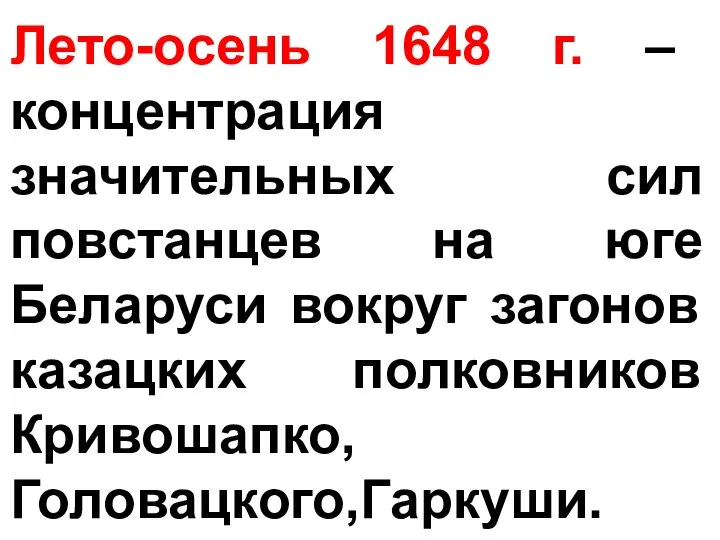 Лето-осень 1648 г. – концентрация значительных сил повстанцев на юге Беларуси