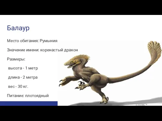 Балаур Место обитания: Румыния Значение имени: коренастый дракон Размеры: высота -