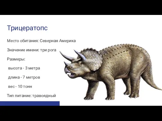 Трицератопс Место обитания: Северная Америка Значение имени: три рога Размеры: высота